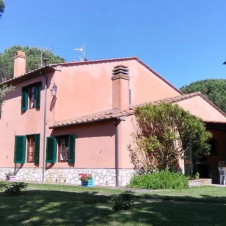Sughericcio