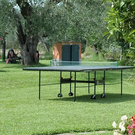 Farma Sughericcio Castagneto Carducci